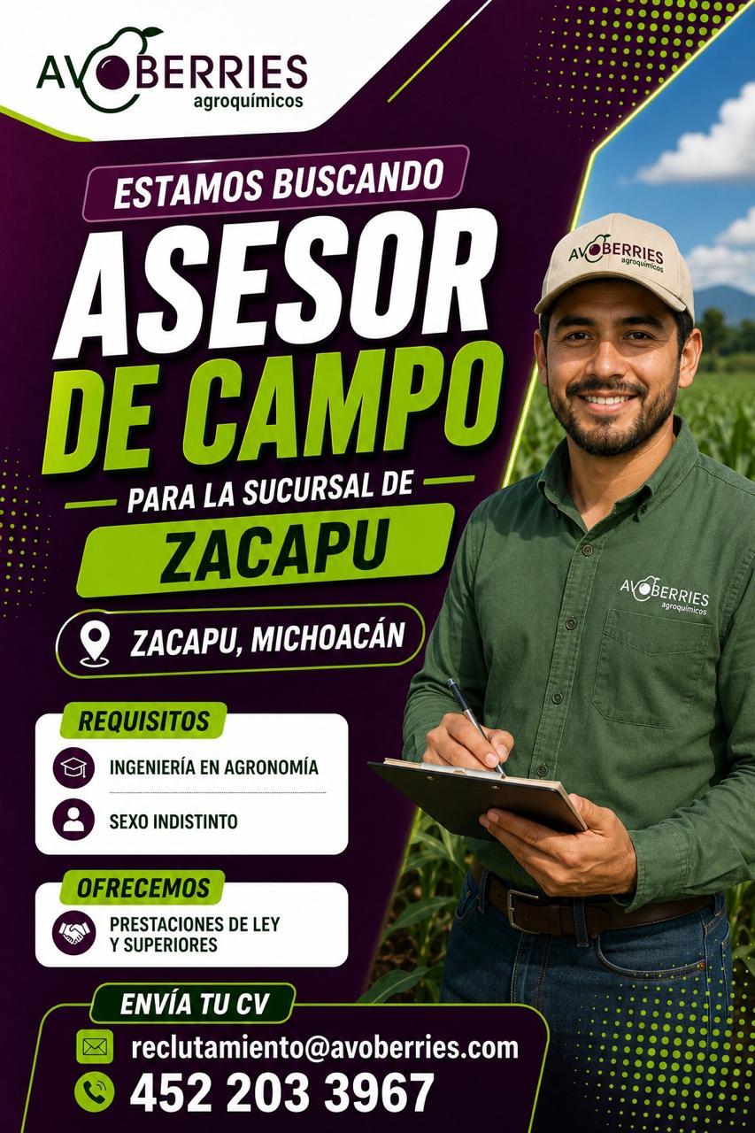 Convocatoria Zacapu Completa